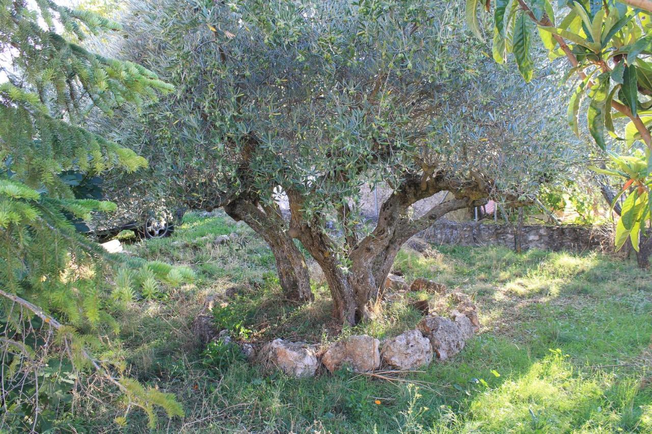 Casa Rural Baobab Romancos Εξωτερικό φωτογραφία